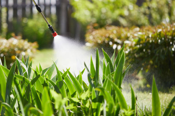 Tamper-Resistant Bait Stations for Rodents in Cayuga