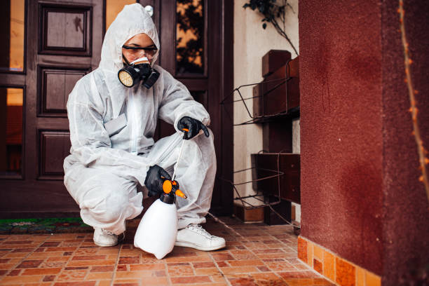 Attic and Crawl Space Rodent Treatment in Cayuga