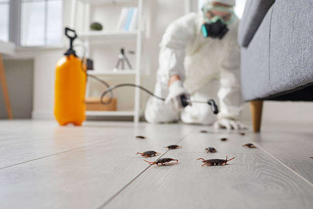 Commercial Rodent Management in Cayuga